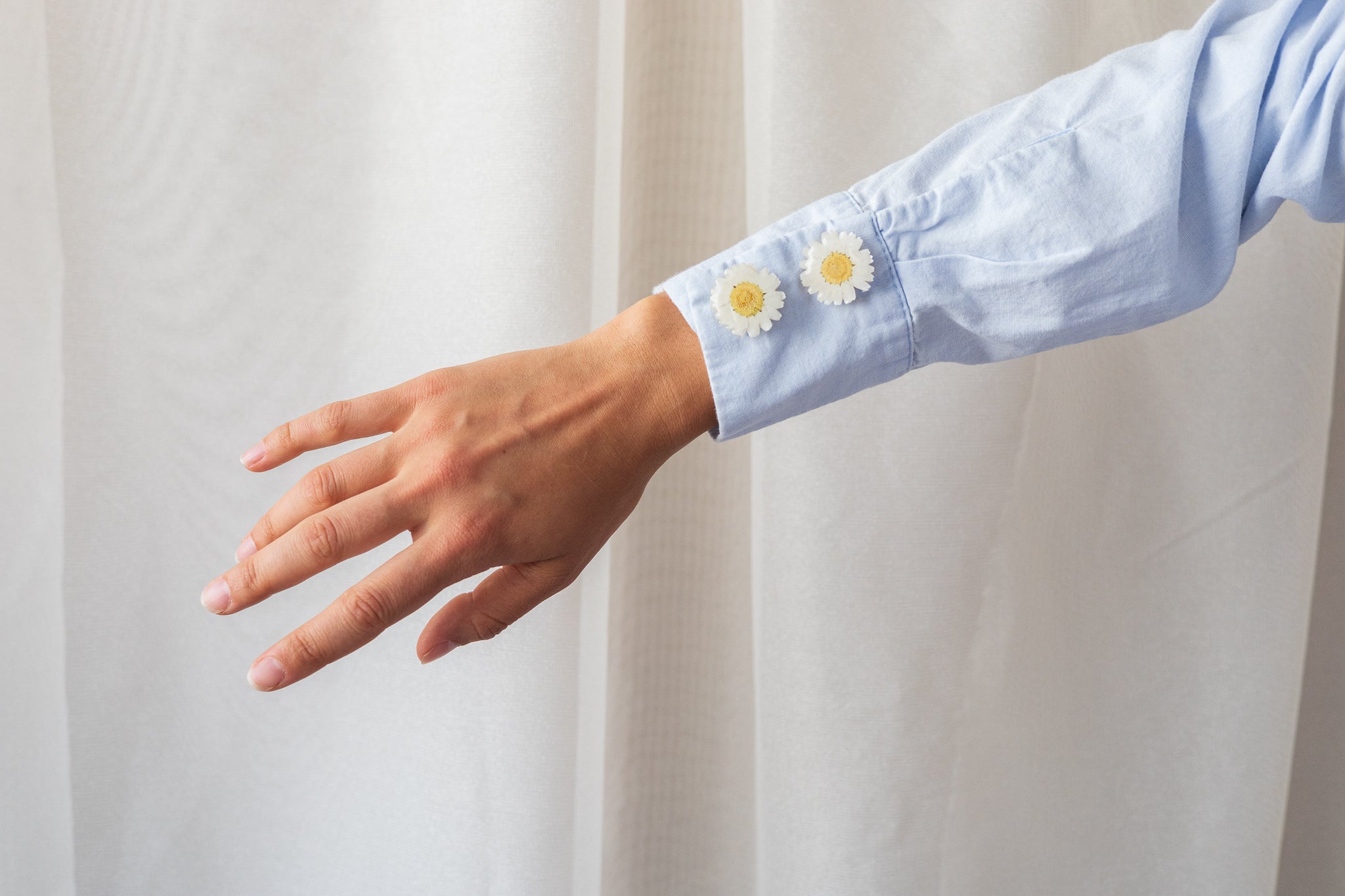 Couvre-bouton de chemise en marguerites séchées