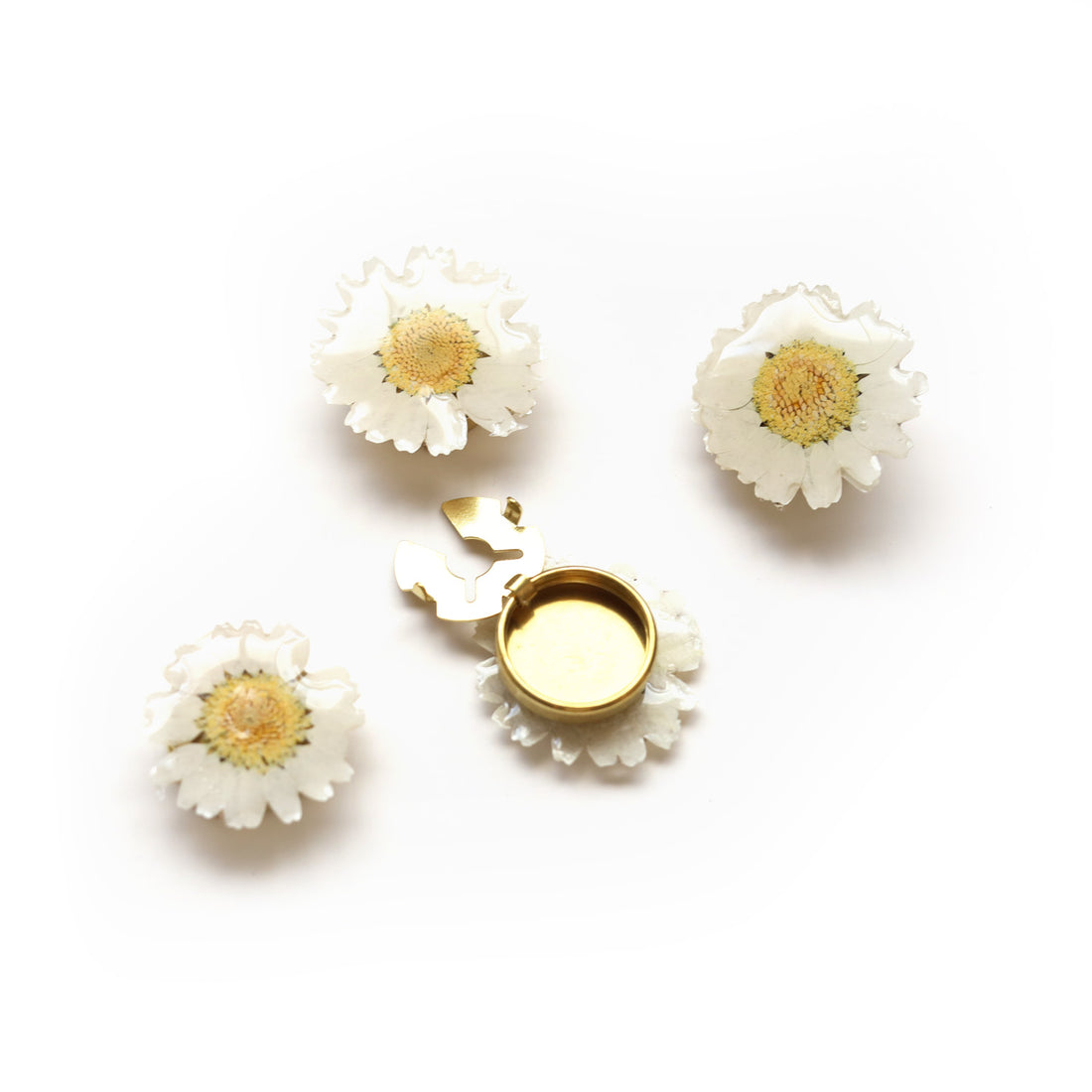 Couvre-bouton de chemise en marguerites séchées