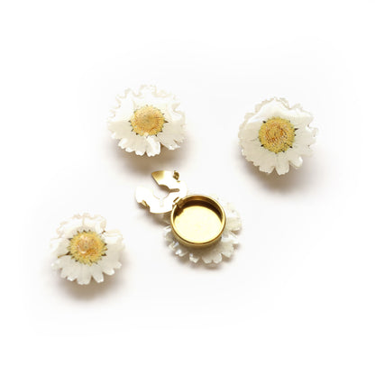 Couvre-bouton de chemise en marguerites séchées