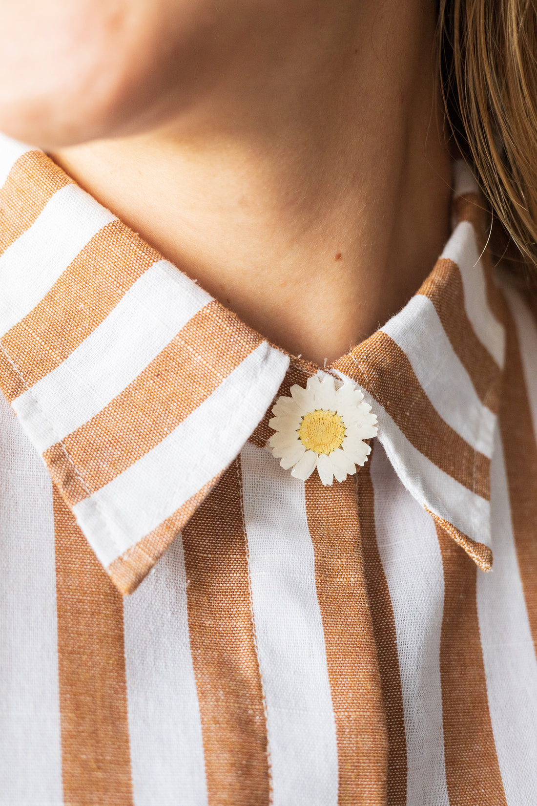 Couvre-bouton de chemise en marguerites séchées