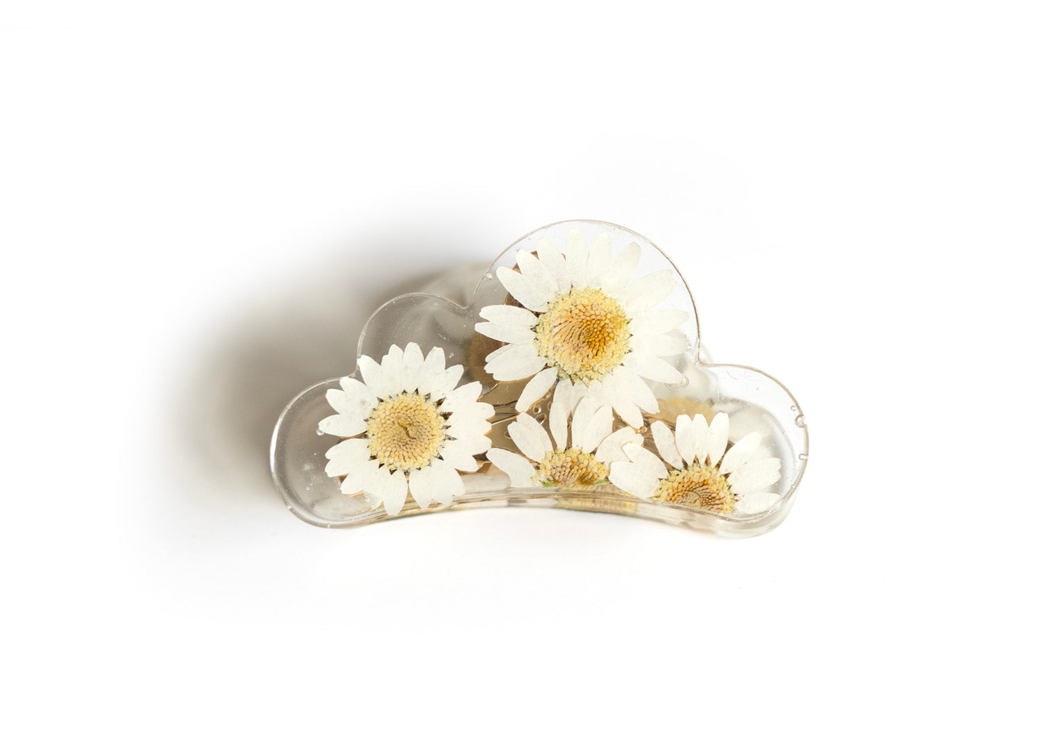Cloud claw clip with dried flowers
