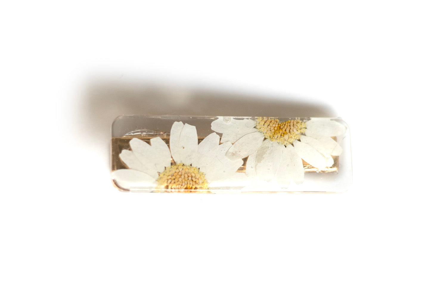 Straight barrette with dried flowers