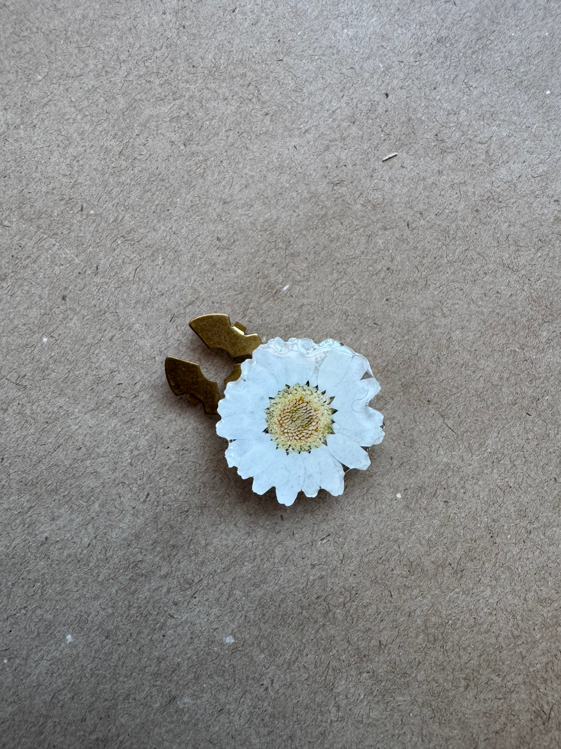 Échantillon - Couvre-bouton en résine avec fleur séchée