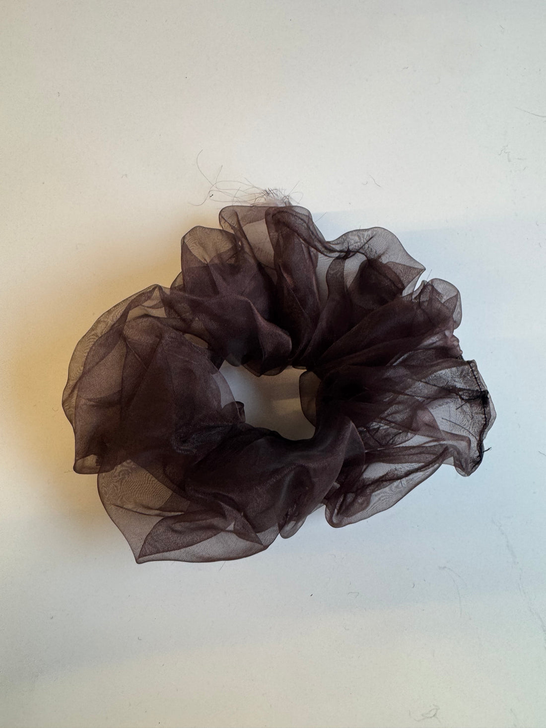 Échantillon - Chouchou organza brun XXL