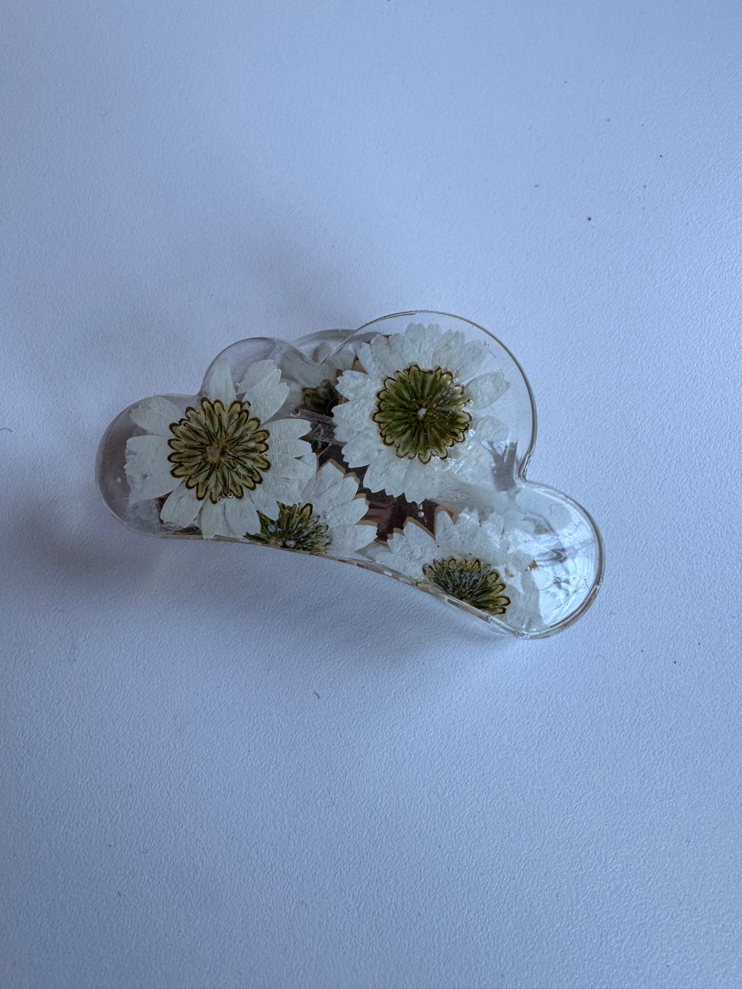 Échantillon - Pince en fleurs séchées sur résine marguerite
